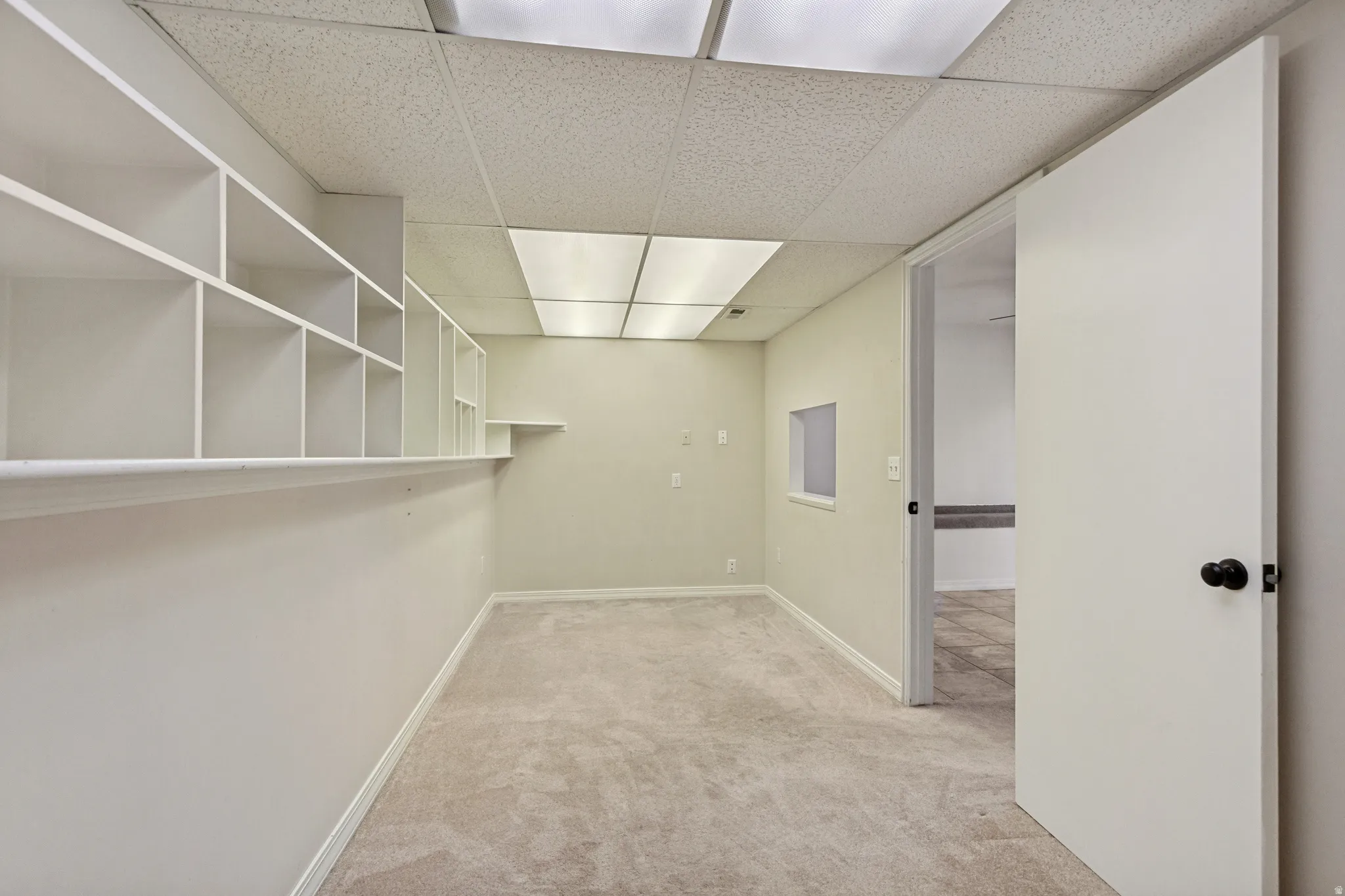 Built-in shelving, recessed fluorescent lighting, light-toned carpeting, and a white interior door