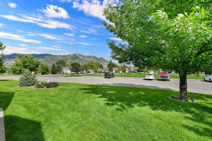 Manicured lawn with mature trees and established landscaping