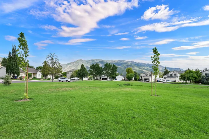 Expansive green space with distant mountain scenery