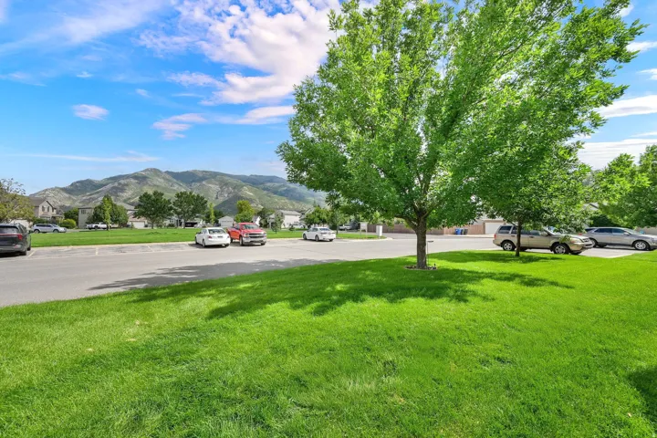 Expansive green lawn with mature trees and mountain scenery