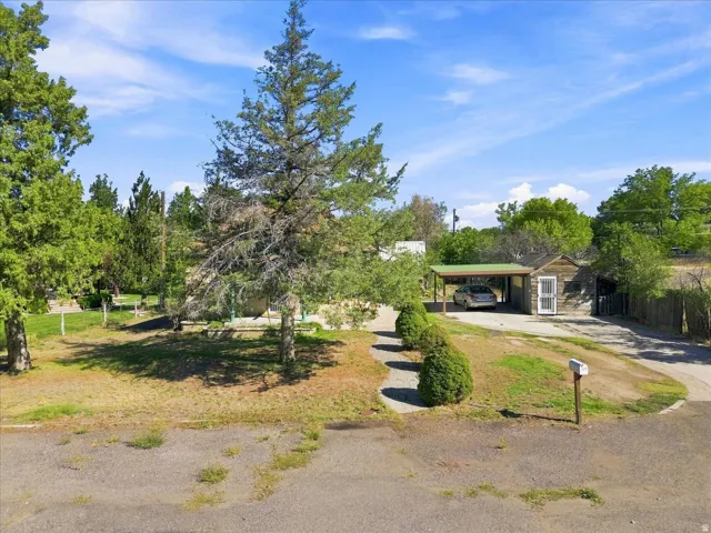 Single-story residence featuring a covered carport, mature trees, and an established front yard