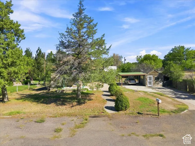 Single-story residence featuring a covered carport, mature trees, and an established front yard