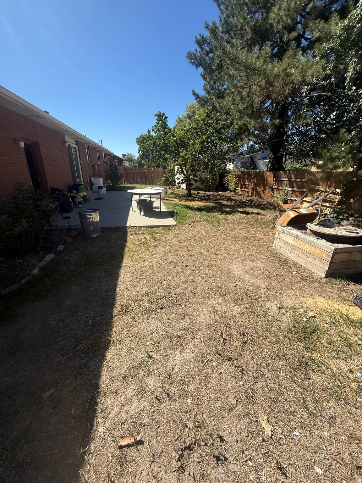 Expansive backyard featuring a concrete patio, mature trees, and a wood privacy fence