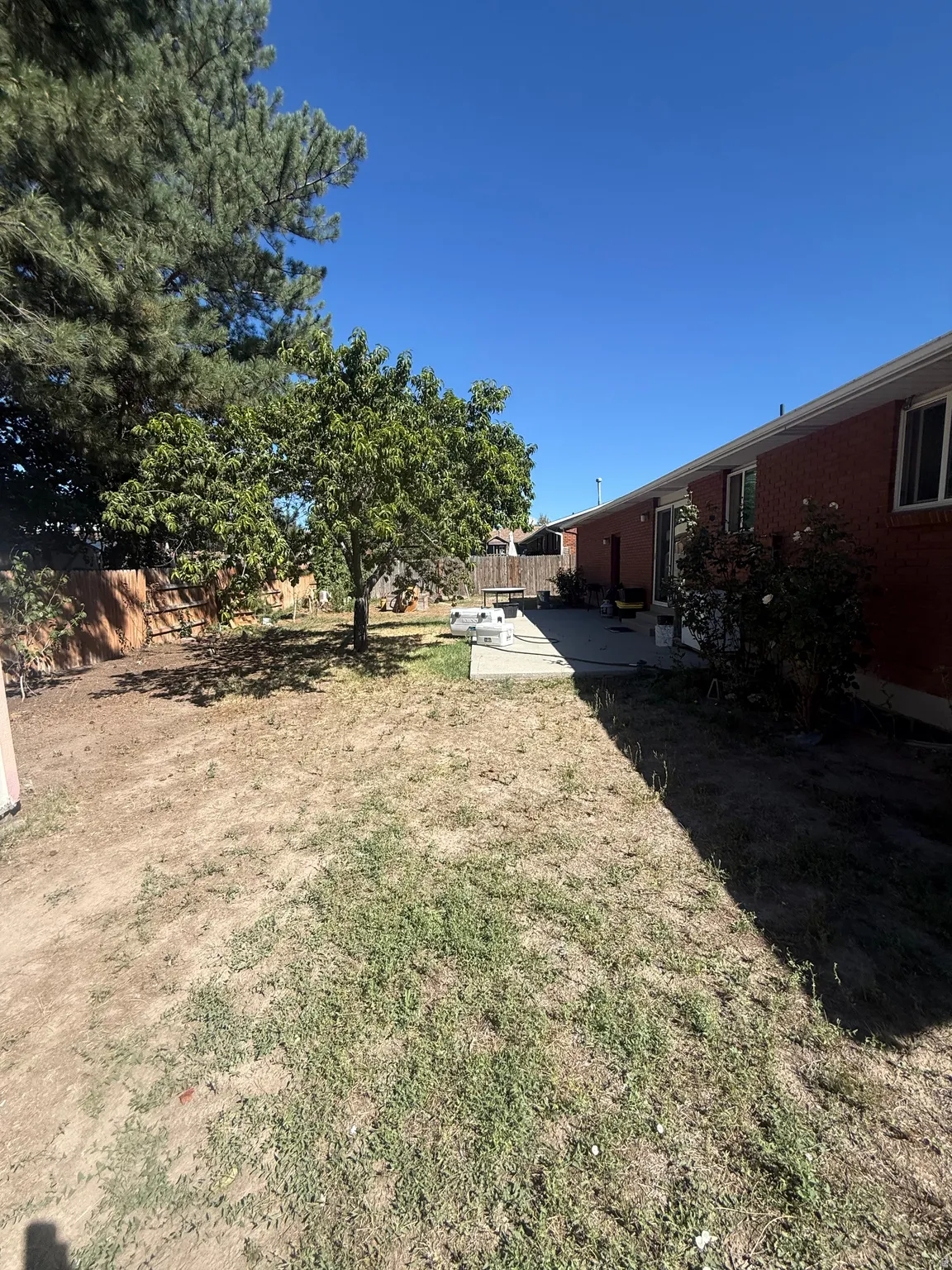 Expansive backyard featuring a mature tree, brick exterior, concrete patio, and fenced perimeter