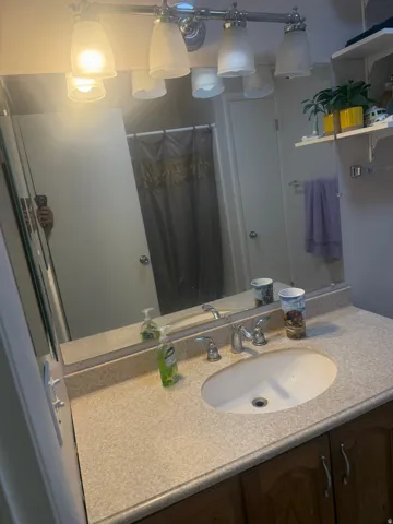 Vanity with an integrated oval basin and a speckled countertop