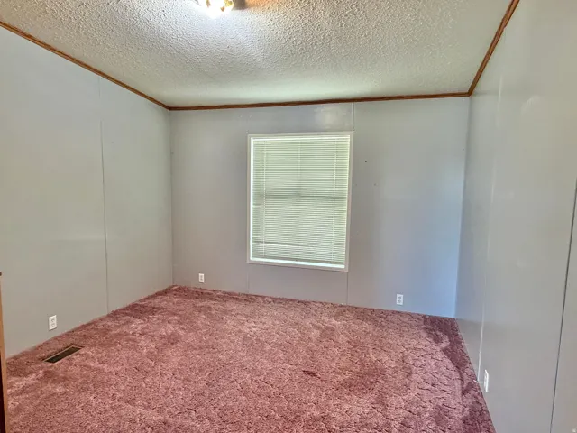 Spacious room featuring a single window, overhead lighting fixture, light-colored walls, and deep-pile carpeting