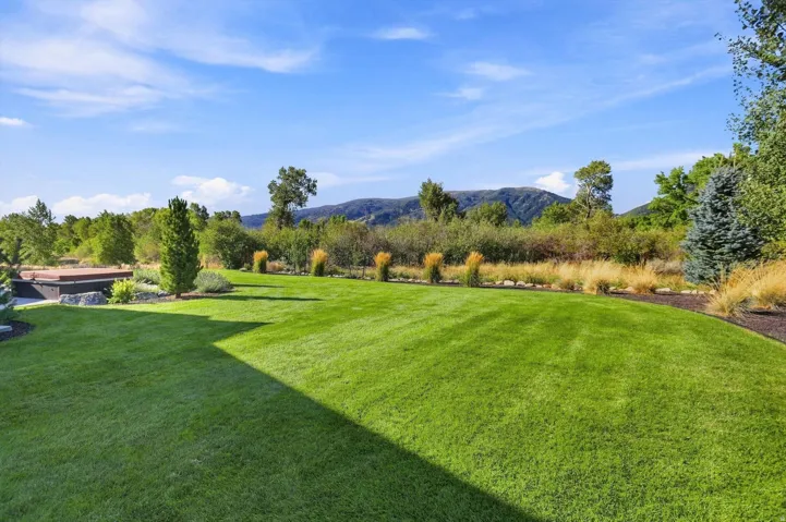 Expansive backyard featuring a manicured lawn, established landscaping, and a built-in spa