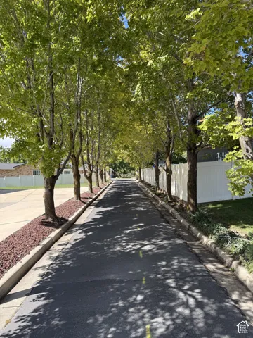 Tree-lined street with established trees and manicured groundcover