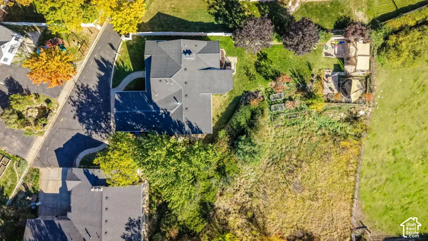 Manicured lawn, mature trees, and a spacious paved driveway
