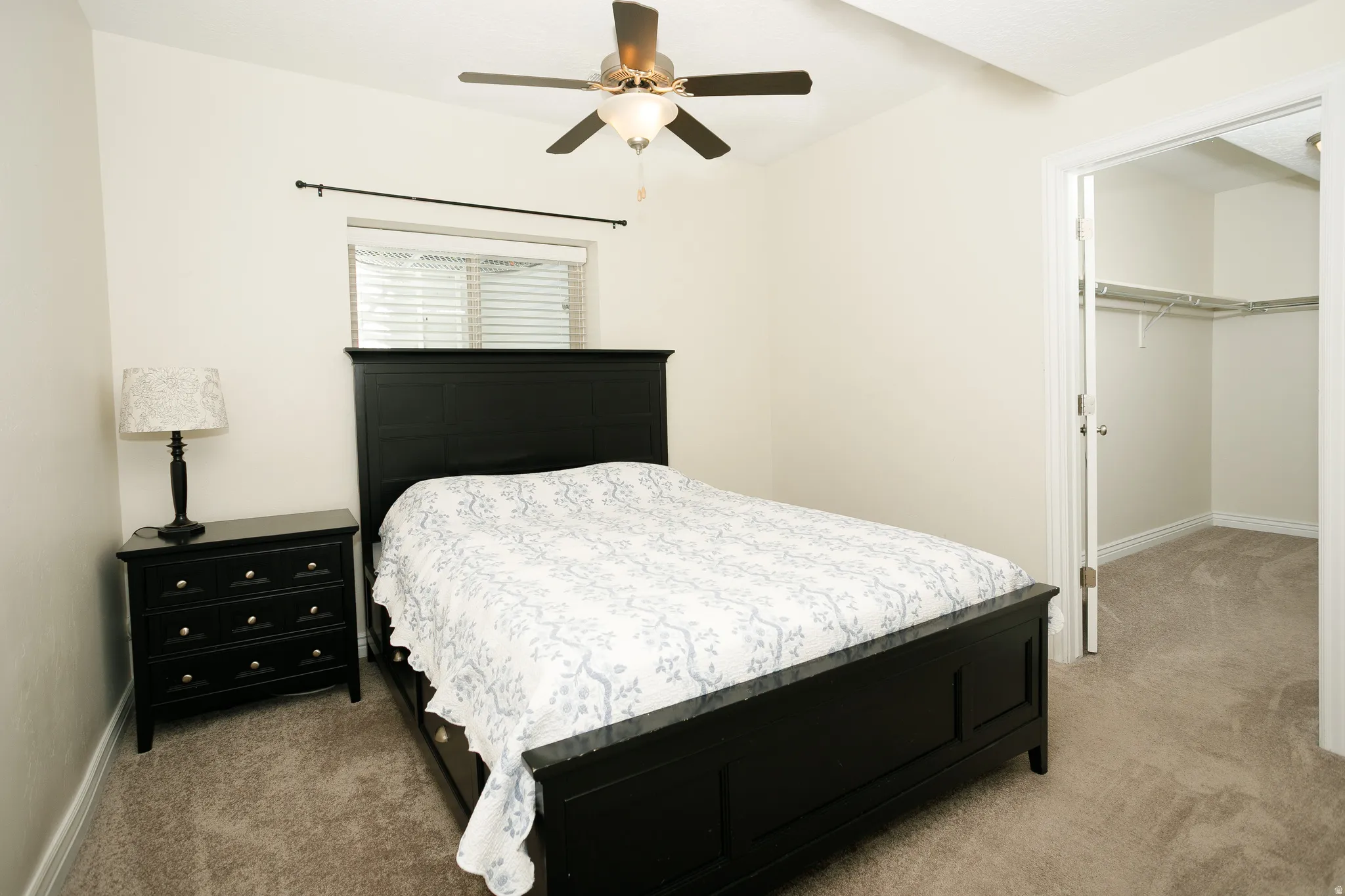 Carpeted bedroom featuring a ceiling fan, window with blinds, and an open doorway to a walk-in closet with shelving