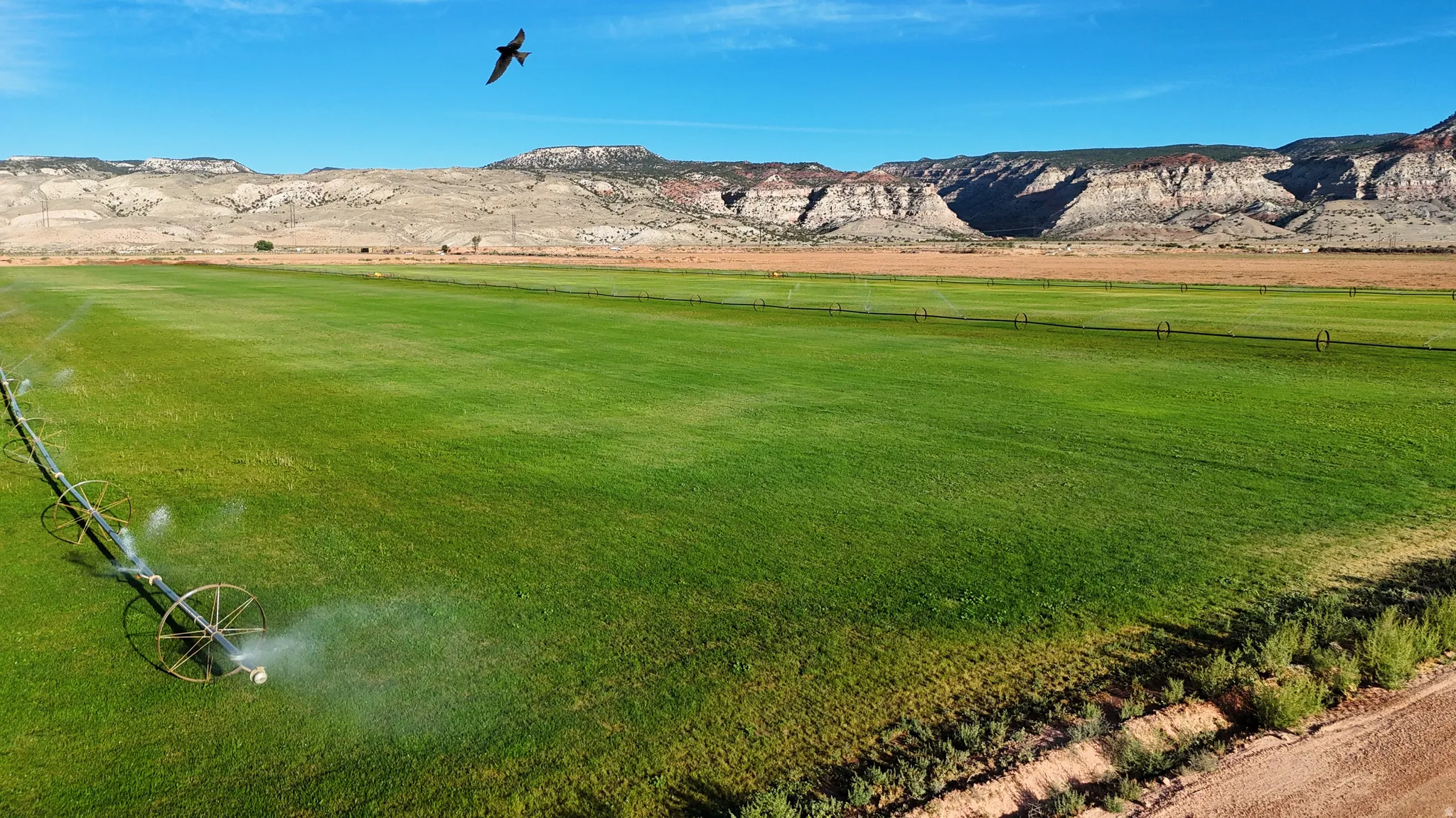 Expansive green field with irrigation system and distant mountain ranges
