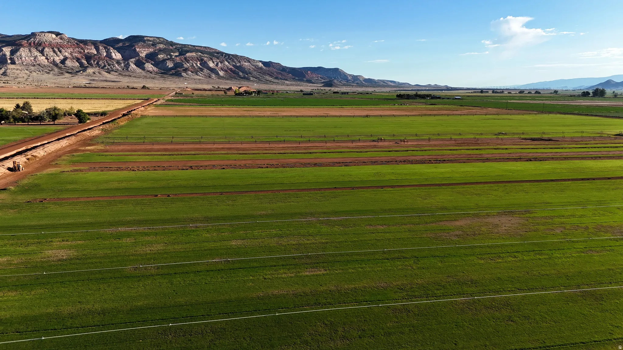Expansive agricultural land featuring green fields, a dirt road, and distant mountains
