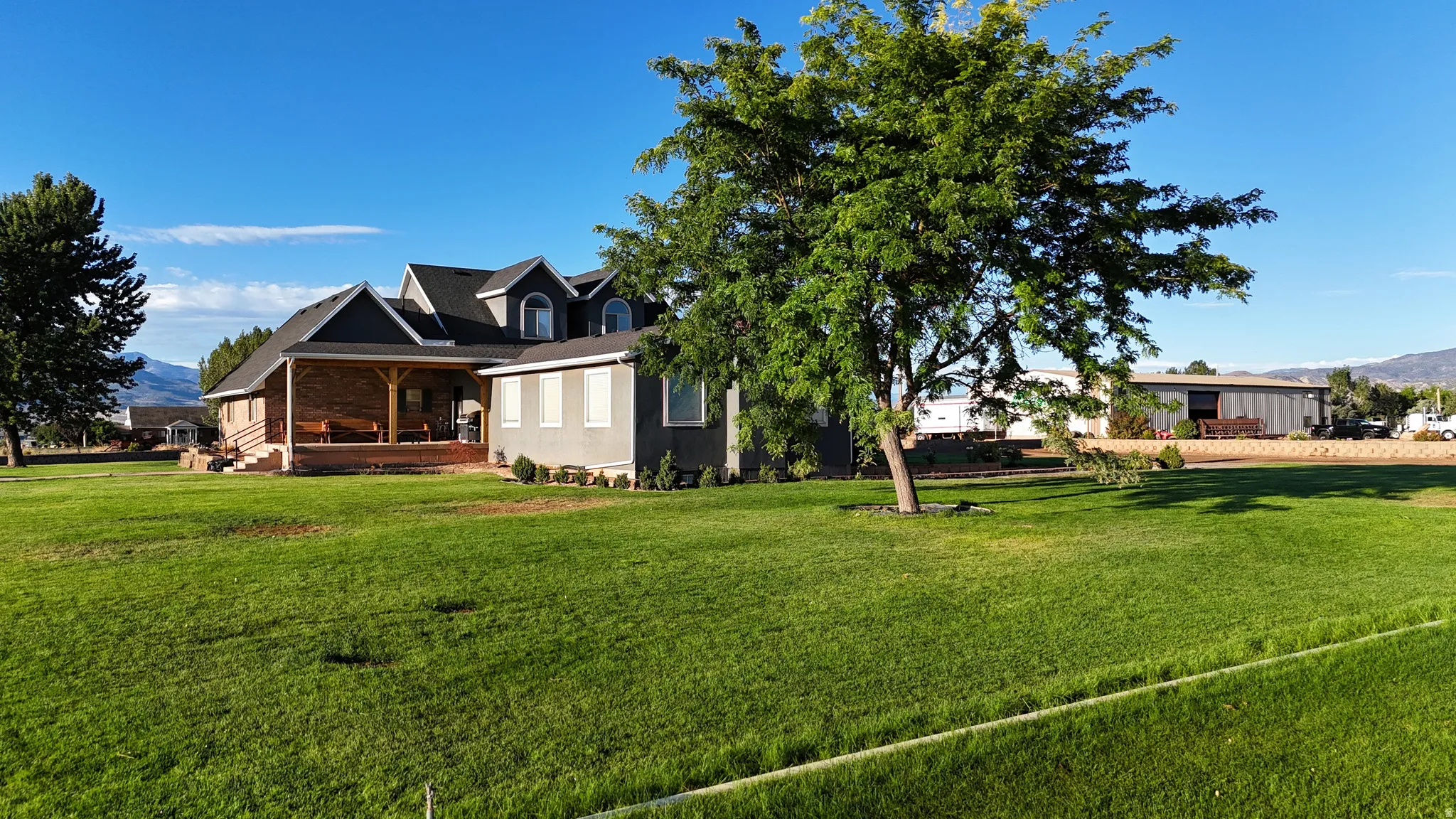 Expansive green lawn with a mature tree