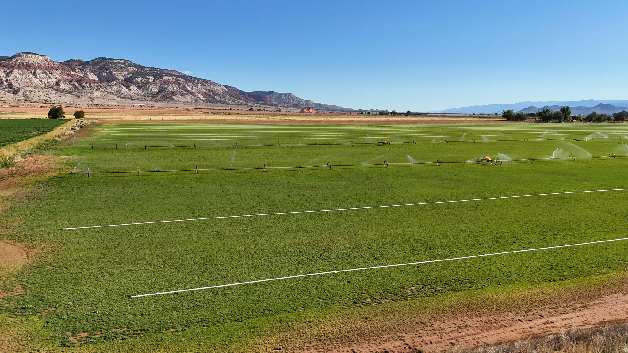 Expansive irrigated fields with active sprinkler systems