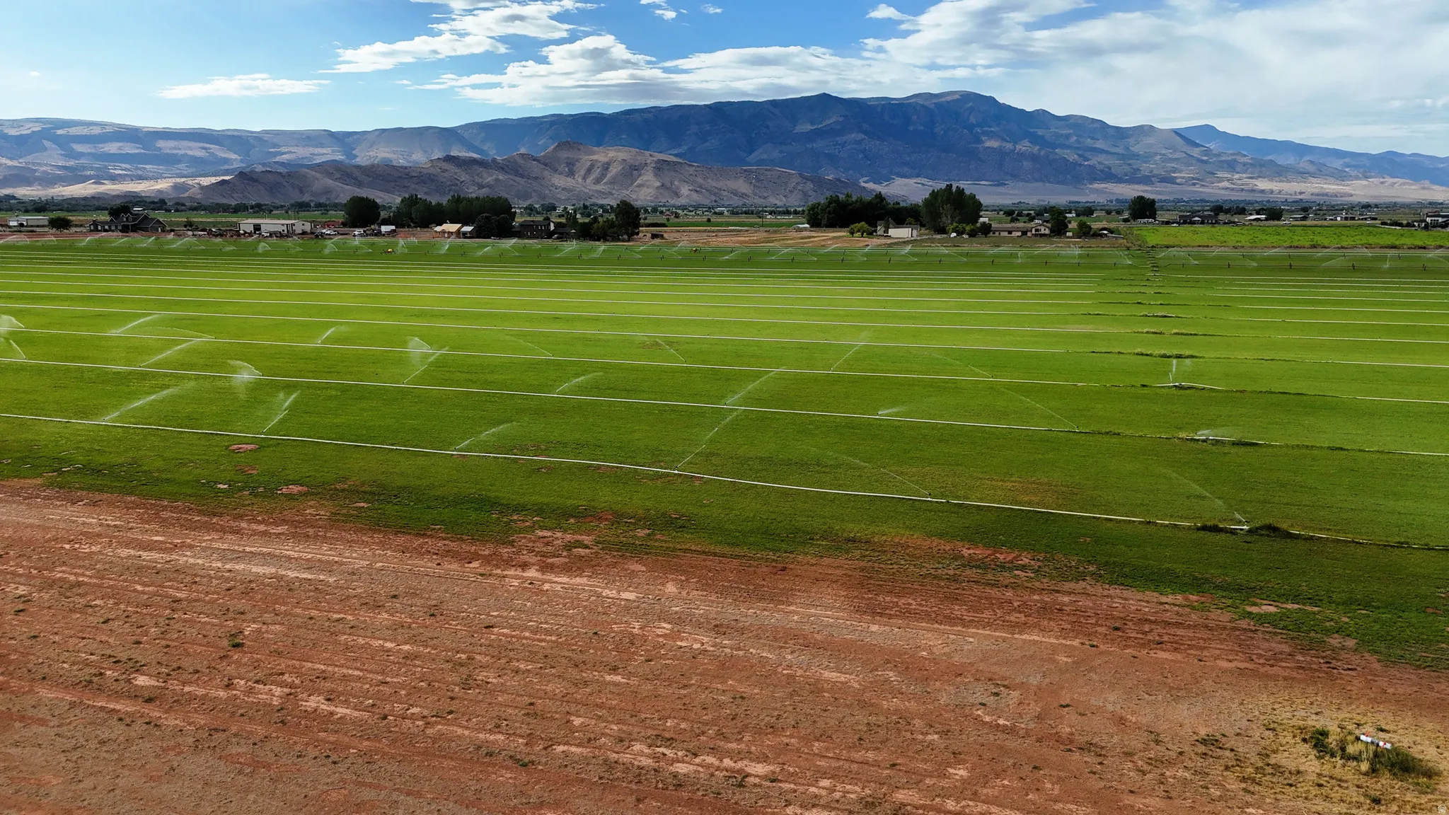 Expansive agricultural land featuring a verdant crop, equipped with a visible irrigation system