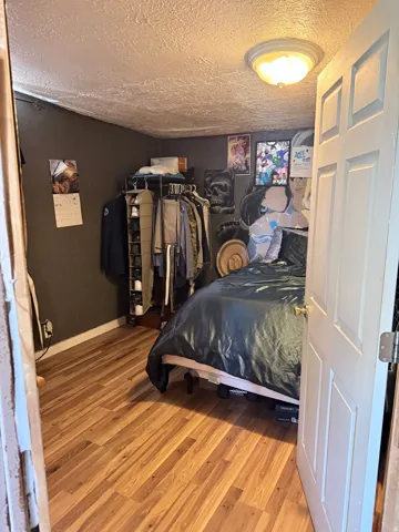 Wood-finish flooring with a flush-mount ceiling light fixture