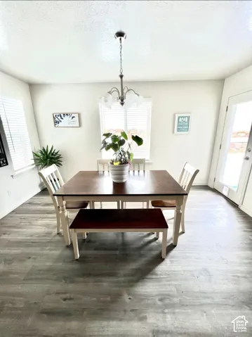 Wood-finish flooring, ample natural light from multiple windows, and a ceiling-mounted light fixture