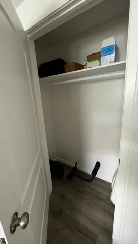 Reach-in closet featuring an integrated shelf, hanging rod, and wood-finish flooring