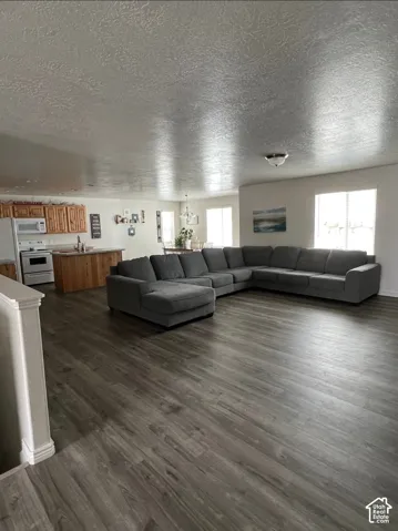 Open concept living area featuring wood-finish flooring, recessed lighting, and a kitchen with warm-toned cabinetry