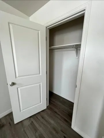 Paneled interior door with a brushed nickel knob, wood-finish flooring, and a built-in closet rod and shelf