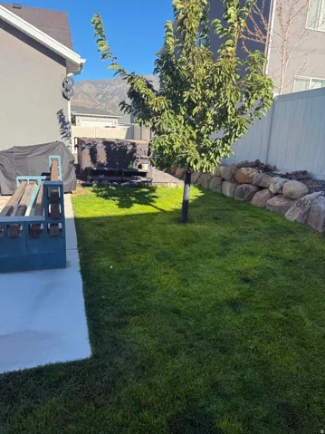 Expansive backyard featuring a manicured lawn, established tree, and a rock retaining wall