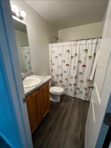 Wood-finish flooring, wood cabinetry, stone-finish countertop, and a vanity light fixture
