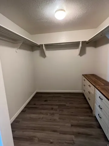 Walk-in closet featuring built-in storage, wood-finish flooring, and a flush mount ceiling light