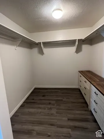 Walk-in closet featuring built-in storage, wood-finish flooring, and a flush mount ceiling light
