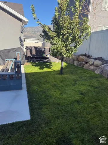 Expansive backyard featuring a manicured lawn, established tree, and a rock retaining wall