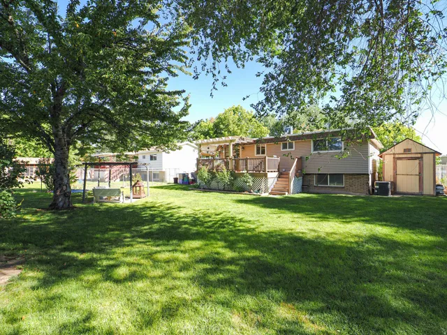 Expansive backyard with a manicured lawn, large shade tree, and wood storage shed