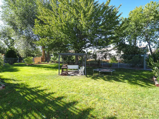 Expansive backyard featuring mature trees, a chain-link fence, and a swing set structure