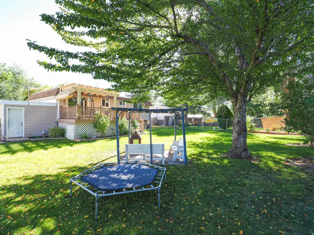 Expansive backyard featuring a large mature tree, manicured lawn, an elevated deck with a wooden pergola, and a side-attached structure with horizontal siding