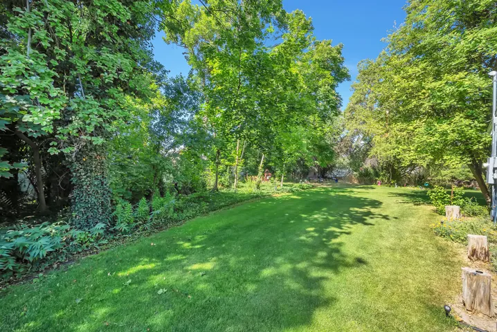 Expansive lawn surrounded by mature trees and varied foliage