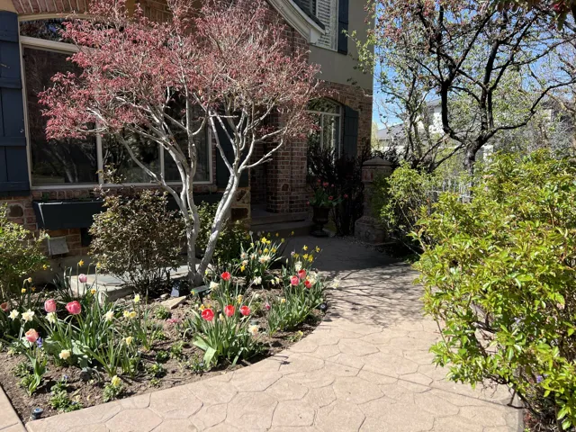 Stenciled concrete pathway leading to an entryway, surrounded by vibrant landscaping featuring mature shrubs, a flowering tree, and a garden bed with colorful blooms