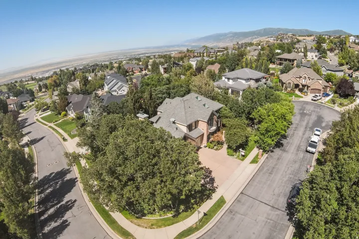 Expansive residential neighborhood with mature trees, paved streets, and distant mountain backdrop