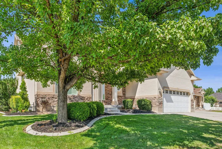 Stucco exterior with stone veneer accents, an attached garage, a mature tree, and manicured landscaping with shrubbery