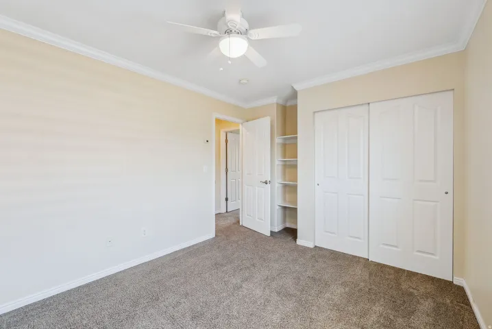 Carpeted flooring with crown molding, a ceiling fan, and built-in shelving