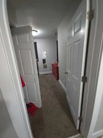 Carpet flooring in a neutral tone