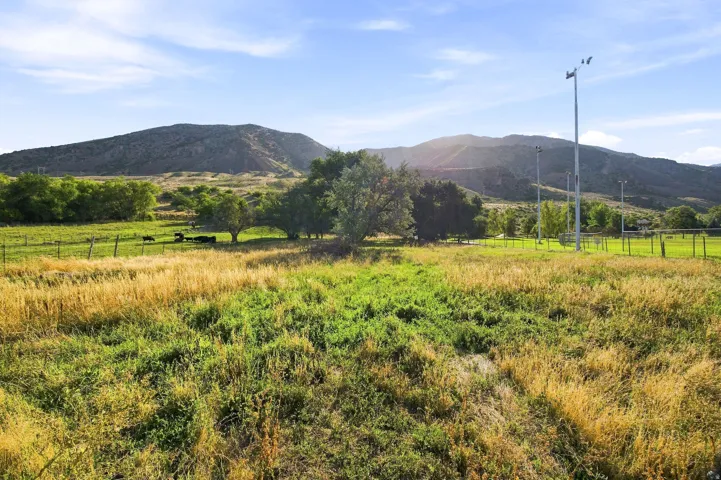 Expansive green and golden fields with mature trees, surrounded by distant mountains
