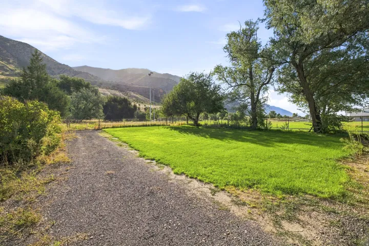Expansive green lawn with mature trees and a gravel driveway