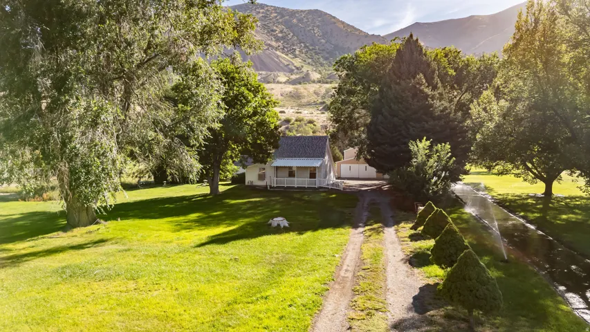 Expansive green space featuring a gravel driveway, mature trees, manicured hedges, and distant mountainous terrain