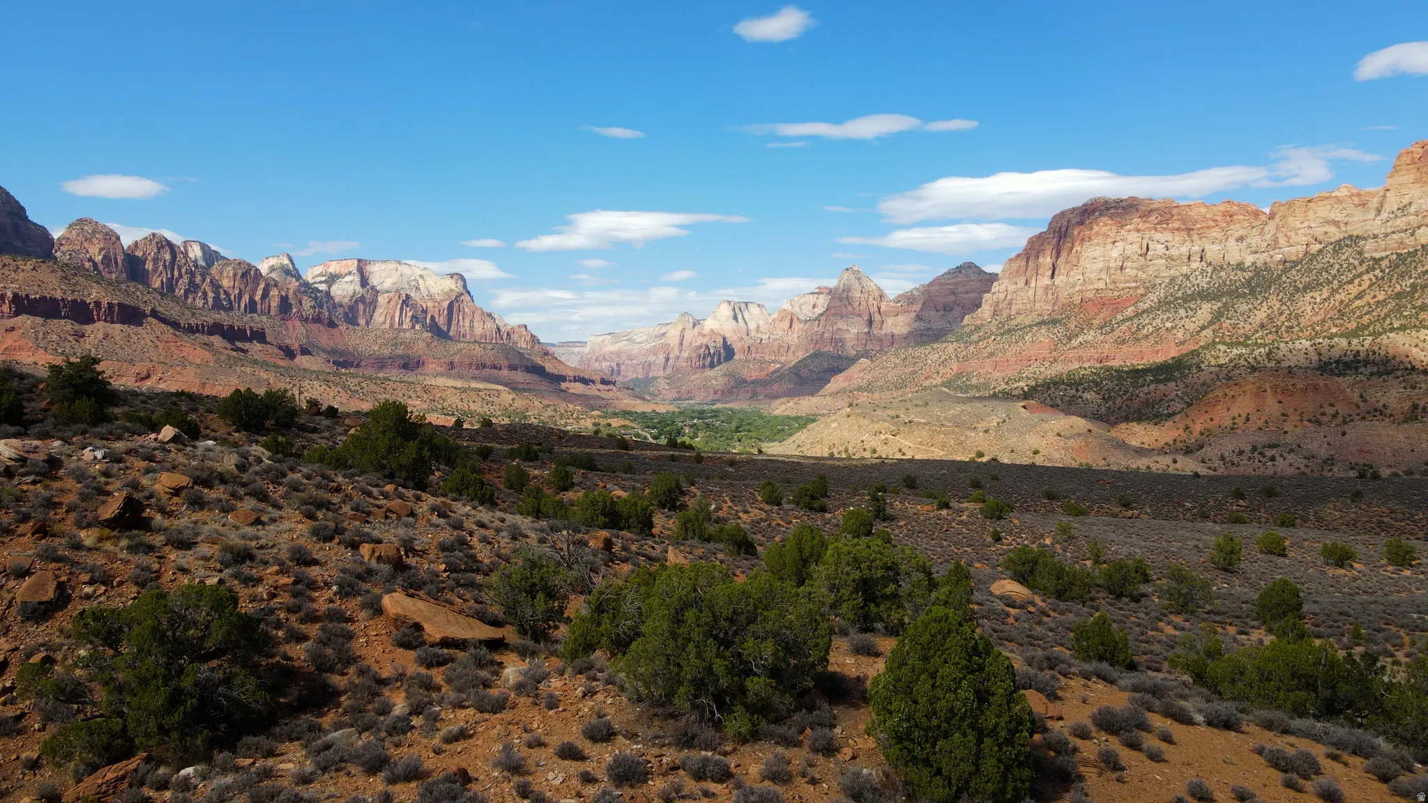 Zion National Park has a unique geography and unusual plants and animal diversity