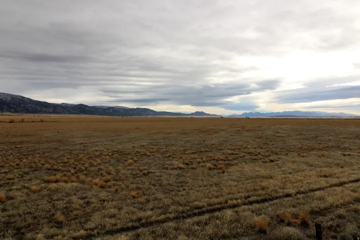 Expansive land parcel featuring natural grasses and distant mountain ranges
