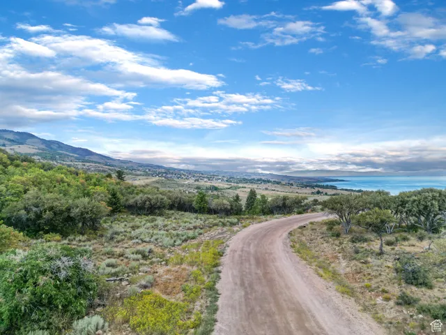 Winding unpaved road through natural landscaping