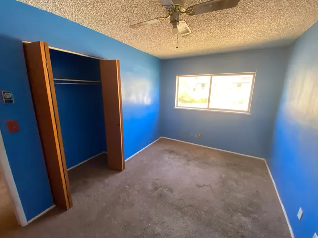 Room featuring a closet with bi-fold doors, a window, a ceiling fan, and carpeted flooring