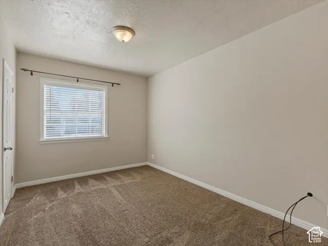 Recessed window featuring horizontal blinds, neutral wall paint, and plush carpeting