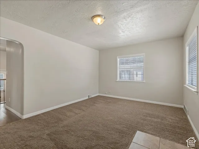 Wall-to-wall carpeting with an arched doorway
