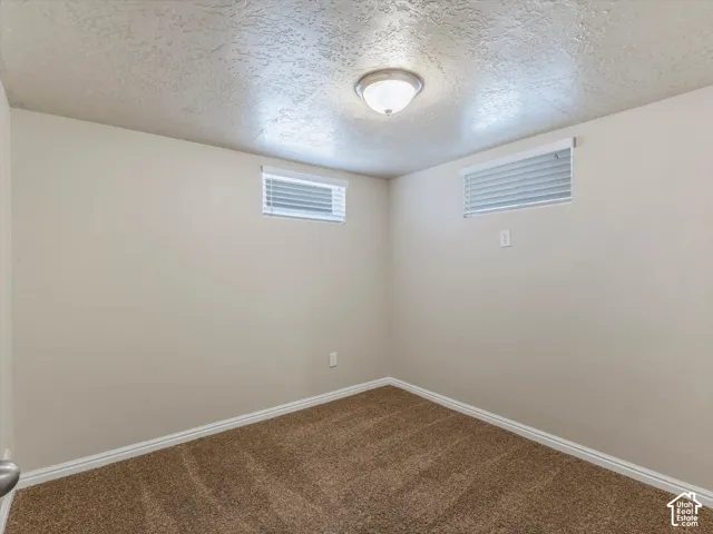 Recessed windows with blinds, neutral wall paint, overhead flush mount lighting, and brown carpeting
