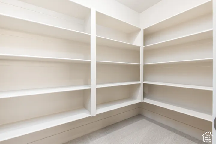 Built-in shelving with multiple levels, painted in a neutral tone, and carpeted flooring