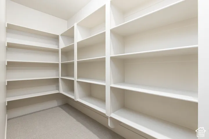 Built-in shelving with multiple levels, corner configuration, and a neutral carpeted floor